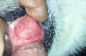 Thằng quái chó đến làm nó đạt cực khoái vì sự thật